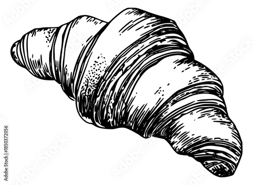 Detailed croissant pastry illustration