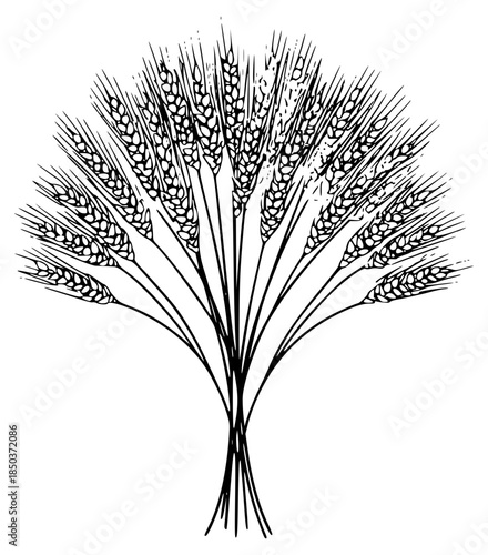 Vintage hand-drawn wheat sheaf illustration