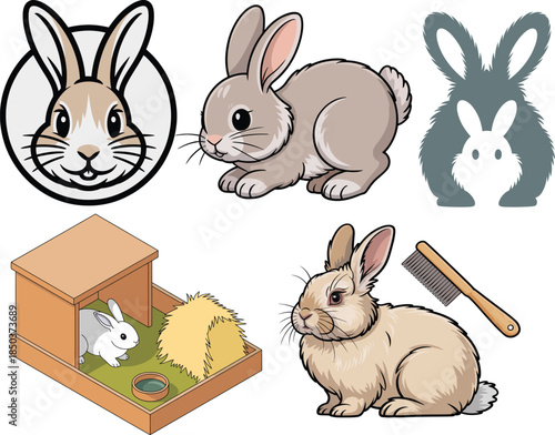 Angora rabbit cute fluffy bunnies with hutch and grooming set
