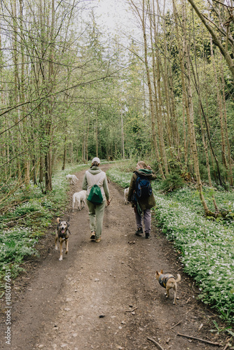 Canvas Print Professional dog walker