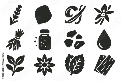 Botanical Extract Icons. Solid style icons of Botanical extracts: lavender sprig, rose petal, citrus peel, vanilla pod, herb