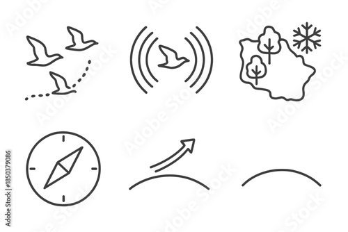 Bird Migration Icons. Line style icons of bird migration path followers: flying bird silhouettes, dotted route line, magnetic