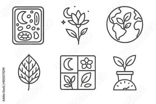 Nocturnal Plant Icons. Line style icons of nocturnal plant biology: moonlit plant cell, night-bloom structure, nocturnal flora map