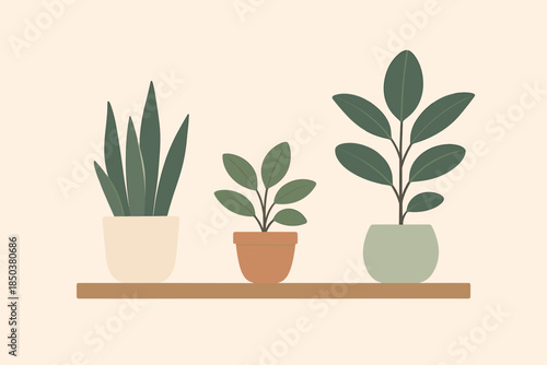 Minimalist Indoor Plants. Minimalist composition vector illustration of indoor plants placed on a modern wooden shelf against a