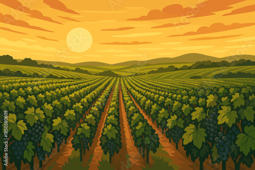 Golden Vineyard Sunset. Expansive vineyard under a vibrant golden sunset, with rows of lush grapevines vector illustration