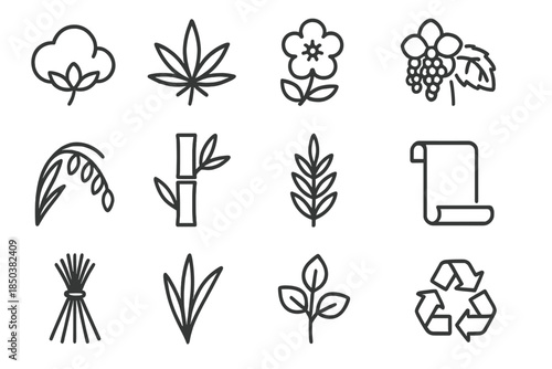 Paper Fiber Icons. Line style icons of paper fibers: cotton, hemp, flax, mulberry; rice straw, bamboo, jute, rag; linen, esparto,