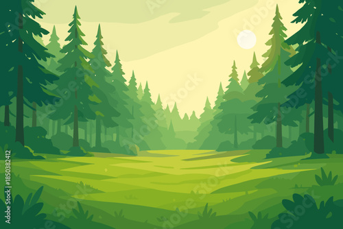 Serene Pine Field. Tranquil green field surrounded by tall pine trees, illuminated vector illustration by soft sunlight, serene