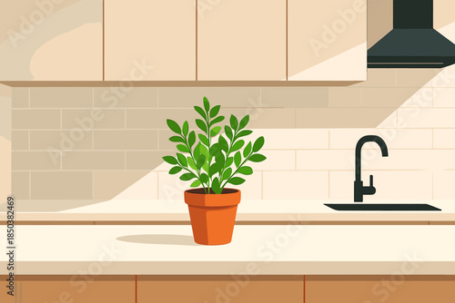 Minimalist Kitchen Scene. Minimalist modern kitchen with vector illustration a single potted herb placed on the countertop, clean