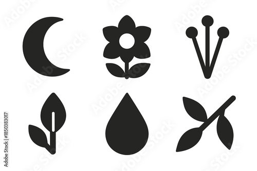 Nocturnal Plant Icons. Solid style icons of nocturnal plant development: moon, night-blooming flower, stamen, leaf bud, dew drop,