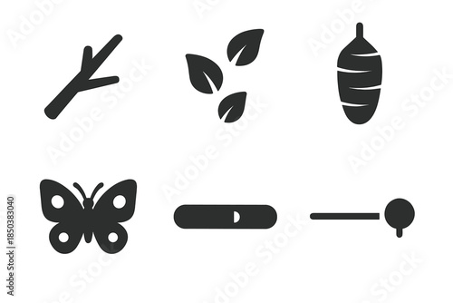 Metamorphosis Journey Icons. Solid style icons of metamorphosis journey tools: branch, leaf trail, cocoon, butterfly, progress bar