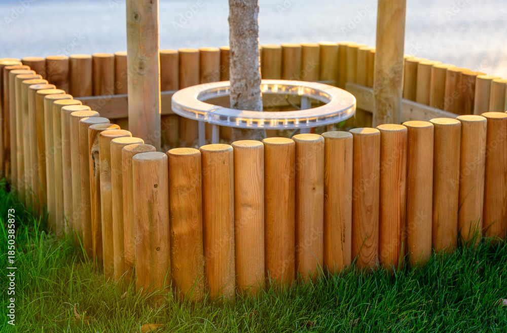 Naklejka premium Young tree protected by natural wooden fence in garden with green
