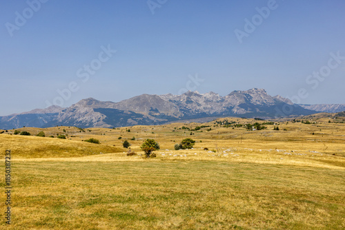 Mountain landscape with golden grassy field