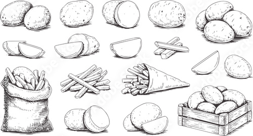Black and white hand drawn potato and fries potatoes