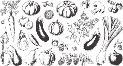 Detailed black and white hand drawn vegetables and fruits collection