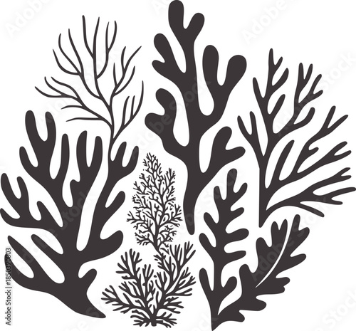 Minimalist black and white digital coral and seaweed