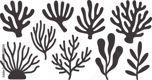 Minimalist black and white coral and seaweed silhouettes collection