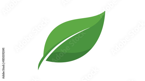 Green Leaf Illustration with White Vein.