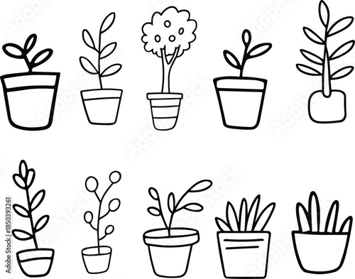 Hand Drawn Potted Plants Collection, indoor plants concept