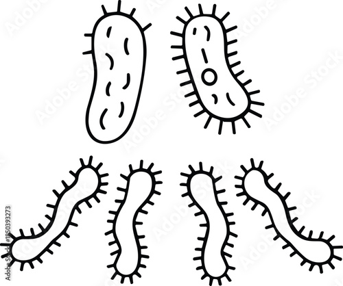 Hand Drawn Outlines of Microorganisms and Bacteria, microbiology concept