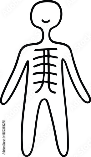 Simple Hand Drawn Human Body Outline with Ribs, anatomy concept