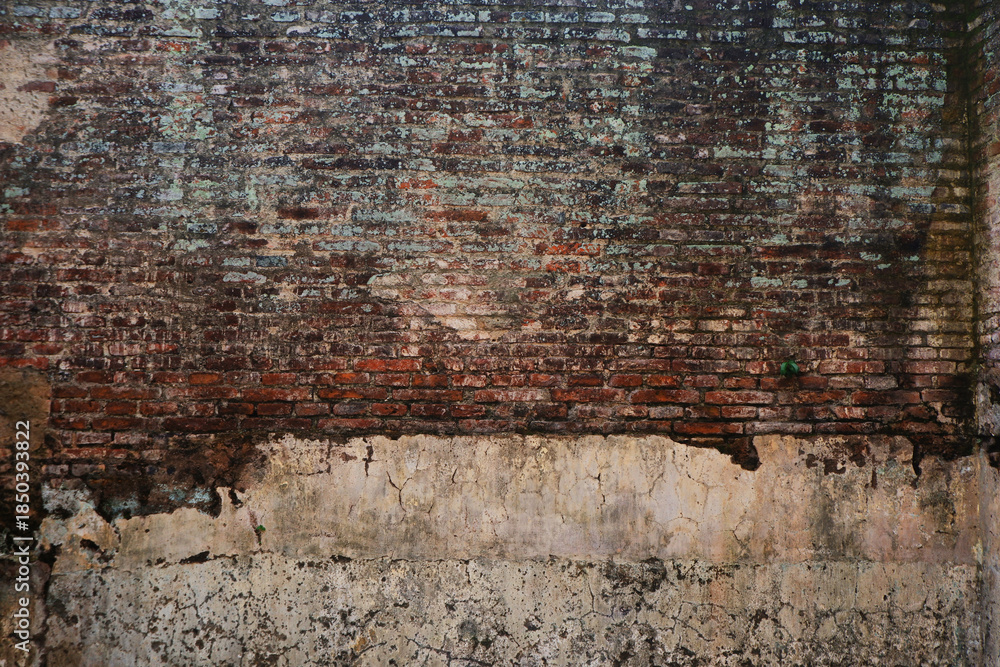 Obraz premium abstract defect wall, rusty, old. vintage. the old house walls with moss. Old Concrete using as textures background. old cement construction material texture 