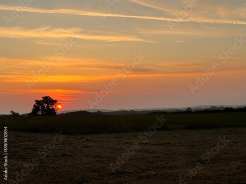 Wallpaper Mural Colourful skyline colourful with reds & oranges Torontodigital.ca
