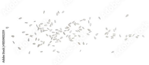 Foto Macro organic sesame seeds isolated on white, top view