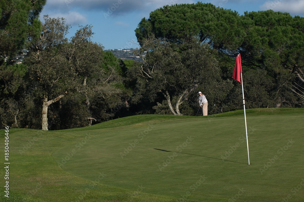 Obraz premium woman playing golf in the green fairway club