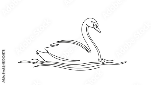 Swan Swimming in Water with Elegant Neck, Isolated on White, Line Art