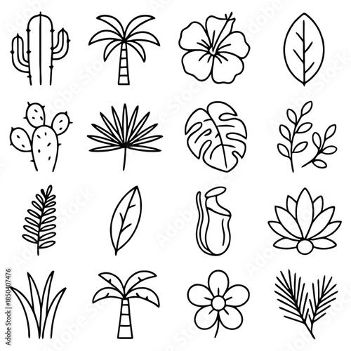 Botanical Lineup: A carefully curated collection of minimalist botanical line art illustrations showcases a variety of plant species, highlighting their unique forms and textures