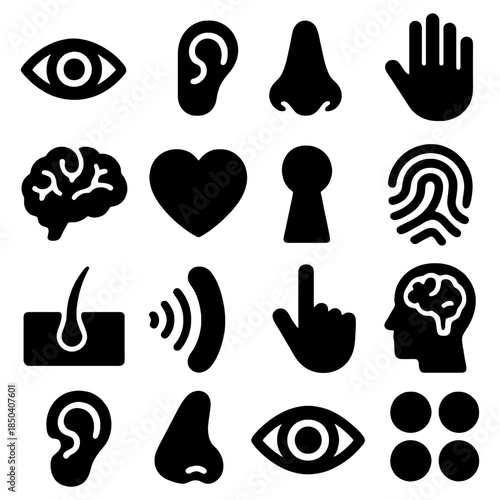 Sense icons: a collection of simple icons that are represent senses. Visual, auditory, smell, touch, brain, heart, skin, finger, thought.