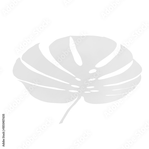 Ambient Leaf Shadow Overlay on Transparent Background