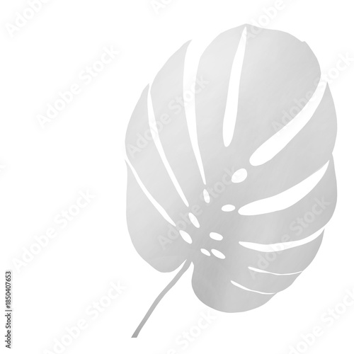 Side Light Leaf Shadow on Transparent Background