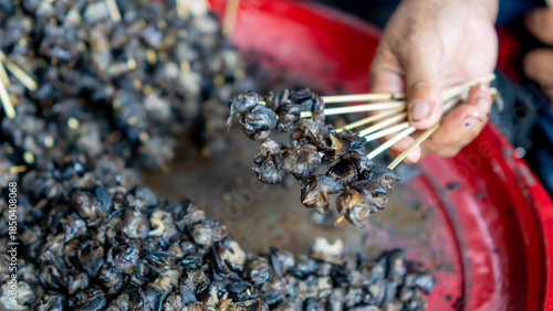 Obraz na płótnie Preparing to make snail satay (Indonesian snail skewers)