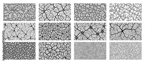 Set of twelve organic growth patterns resembling veins roots or neural networks in black and white vector line art