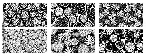 Collection of six various monstera deliciosa leaf textures and seamless background patterns