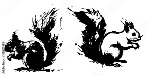 Two cute squirrels eating nuts vector illustration in ink style