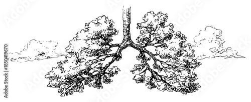 Human lungs shaped like trees nature and ecology concept vector sketch