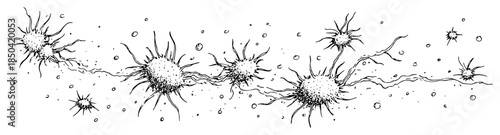 Microscopic view of virus or bacteria cells vector sketch
