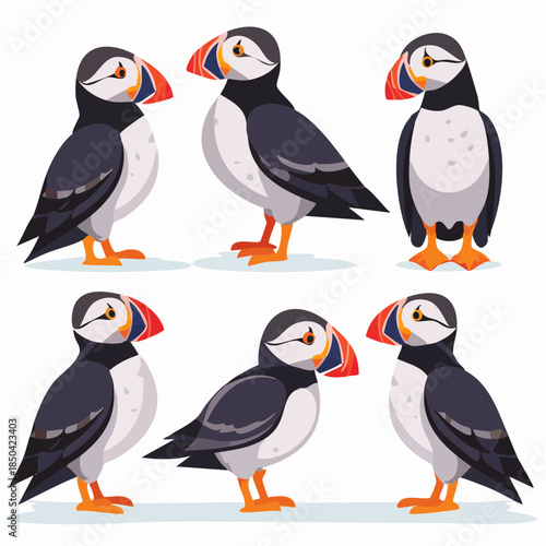 Set of atlantic puffin bird in different poses cartoon animal design flat vector illustration isolated on white background