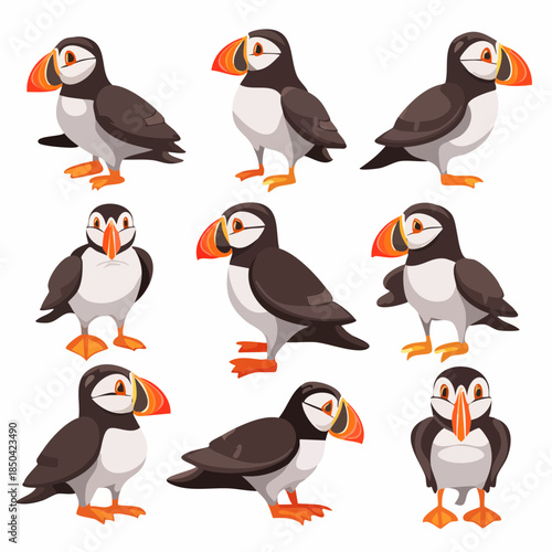 Set of atlantic puffin bird in different poses cartoon animal design flat vector illustration isolated on white background