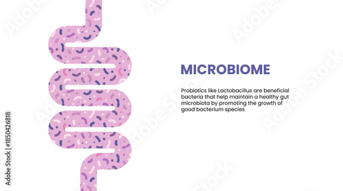Vector illustration of a healthy gut with beneficial microbiota, showing intestine, probiotics, prebiotics, and good bacteria for optimal digestive health.