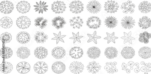 Collection of various tree top view drawings in outline style, showcasing diverse foliage and branching patterns for landscape design
