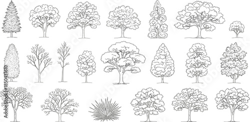 A diverse concept collection of numerous tree species and a bush, presented as detailed hand-drawn black and white outline illustrations, ideal for botanical graphic design assets