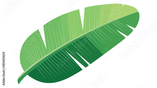 Vibrant tropical banana leaf illustration showcasing natural organic design elements perfect for refreshing summer backdrops and exotic digital art