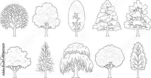 A versatile collection of hand-drawn tree illustrations, showcasing diverse outlines and natural shapes, perfect for architectural plans, landscape designs, or various nature-themed graphic projects