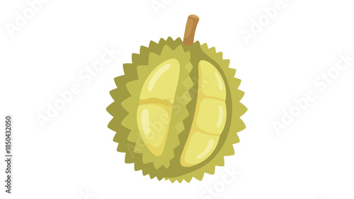 Exotic tropical durian fruit illustration with spiky green rind and visible creamy yellow segments, perfectly ripe and ready to enjoy, a unique