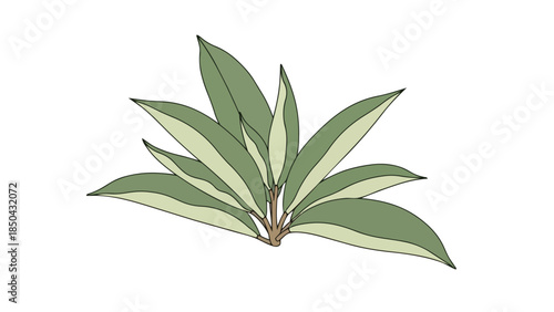 A clean digital illustration of vibrant variegated green leaves, fanned from a central stem, ideal for natural design art