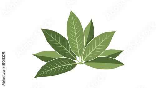 Lush green botanical cluster illustration, featuring elegantly arranged leaves with intricate vein patterns, symbolizing natural vitality, growth,