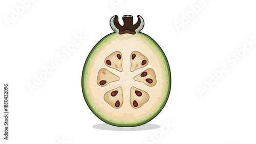 Detailed cross-section illustration of a fresh feijoa fruit showcasing its internal segments and dark seeds against a clean white backdrop a perfect